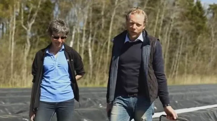 Hur växer sparris