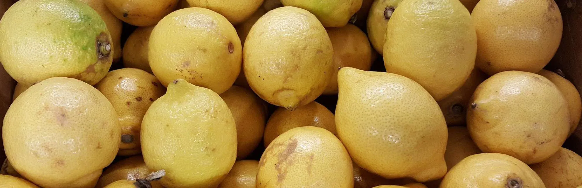 ekocitroner sasongsstart