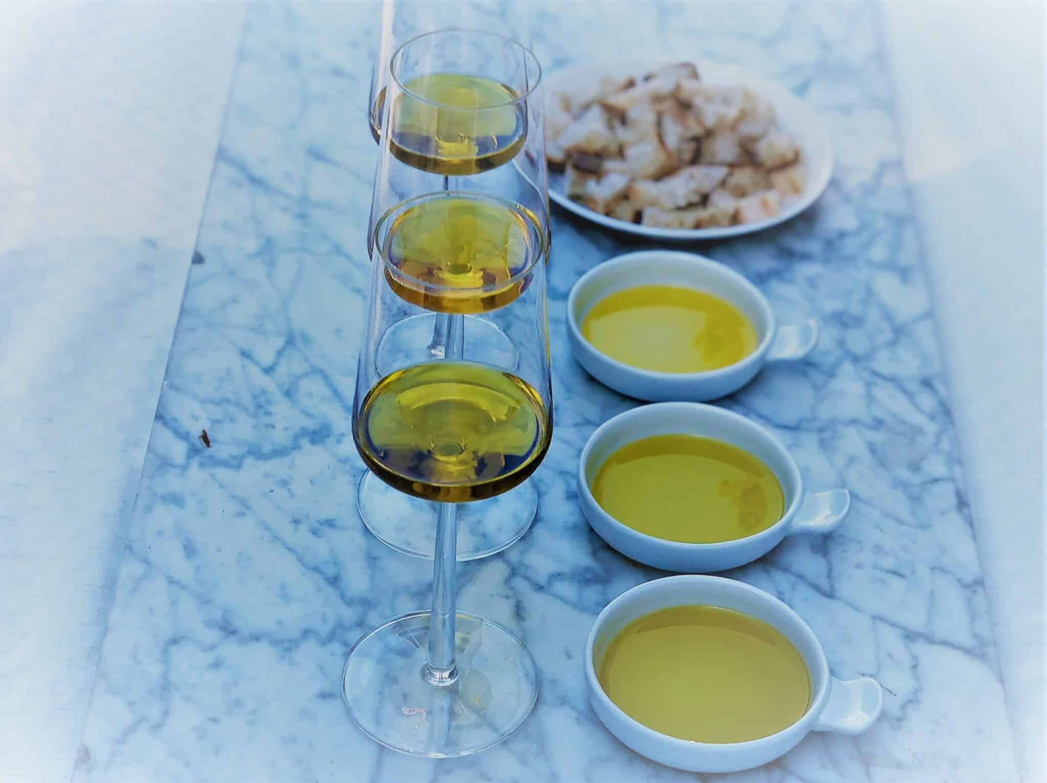 Vilken olja - Prova dig fram till godaste olivoljan