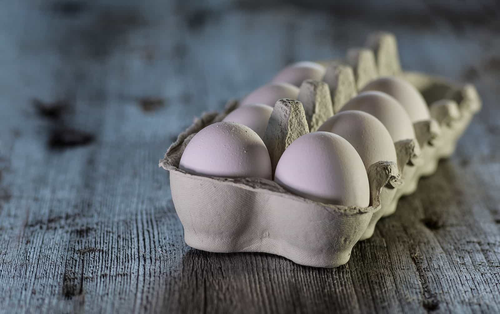 hållbarhet på ägg